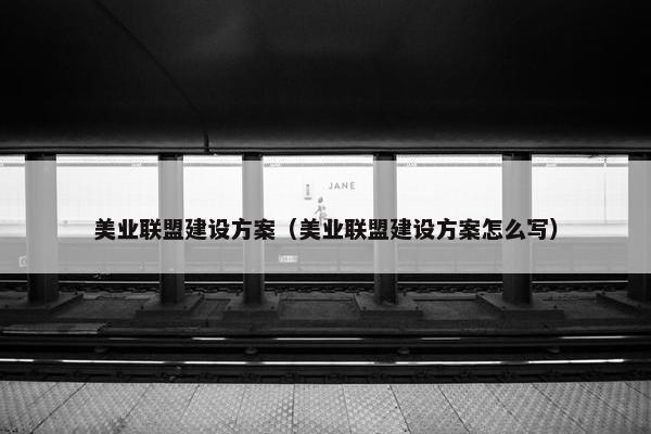 美业联盟建设方案（美业联盟建设方案怎么写）