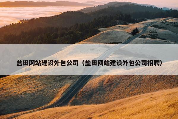 盐田网站建设外包公司（盐田网站建设外包公司招聘）