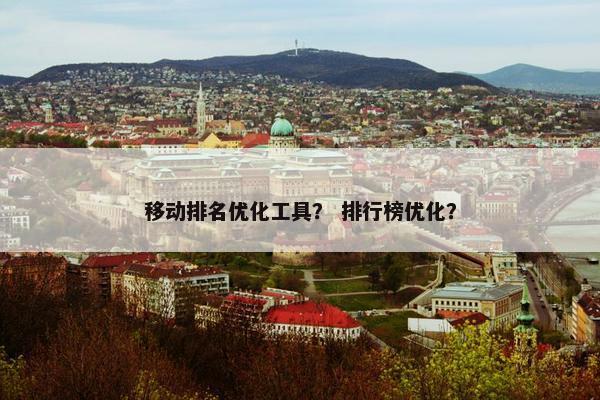 移动排名优化工具？ 排行榜优化？
