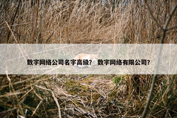 数字网络公司名字高级？ 数字网络有限公司？