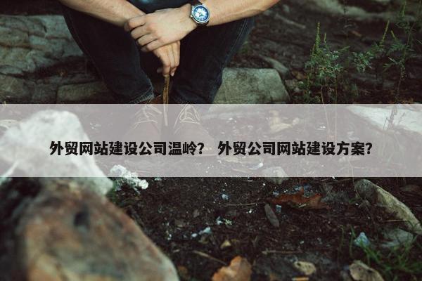 外贸网站建设公司温岭？ 外贸公司网站建设方案？