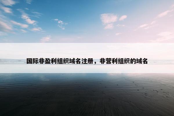 国际非盈利组织域名注册，非营利组织的域名