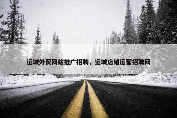 运城外贸网站推广招聘，运城店铺运营招聘网