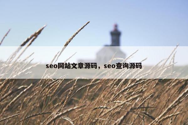 seo网站文章源码，seo查询源码