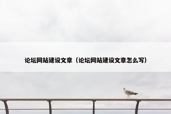 论坛网站建设文章（论坛网站建设文章怎么写）
