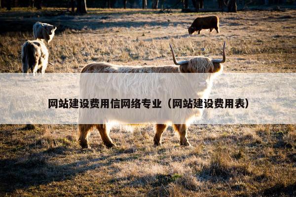 网站建设费用信网络专业（网站建设费用表）