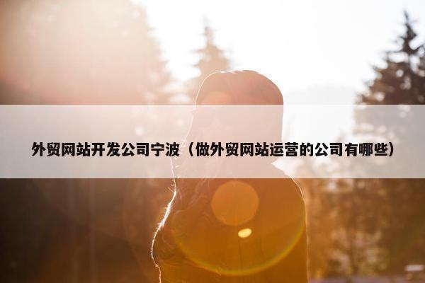 外贸网站开发公司宁波（做外贸网站运营的公司有哪些）