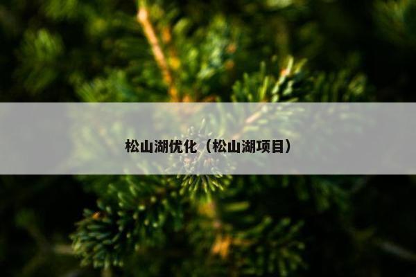 松山湖优化（松山湖项目）