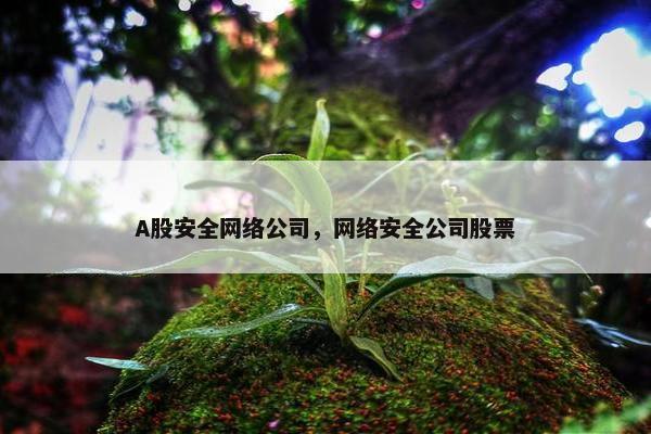 A股安全网络公司，网络安全公司股票