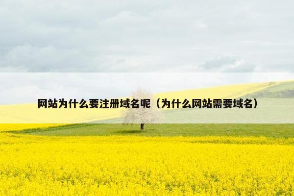 网站为什么要注册域名呢（为什么网站需要域名）