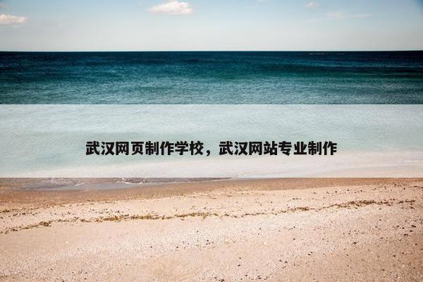 武汉网页制作学校，武汉网站专业制作