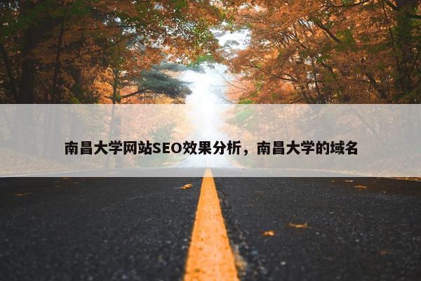 南昌大学网站SEO效果分析，南昌大学的域名