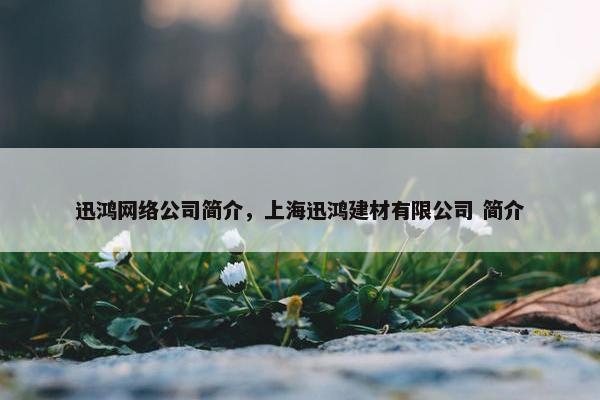 迅鸿网络公司简介，上海迅鸿建材有限公司 简介