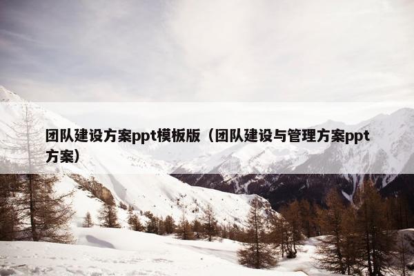 团队建设方案ppt模板版（团队建设与管理方案ppt方案）