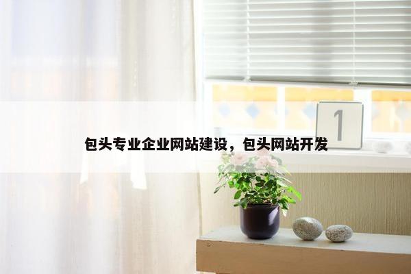 包头专业企业网站建设，包头网站开发