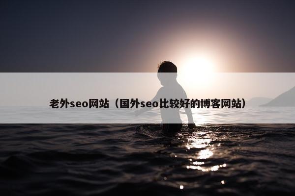 老外seo网站（国外seo比较好的博客网站）