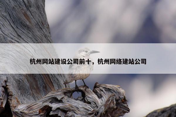 杭州网站建设公司前十，杭州网络建站公司