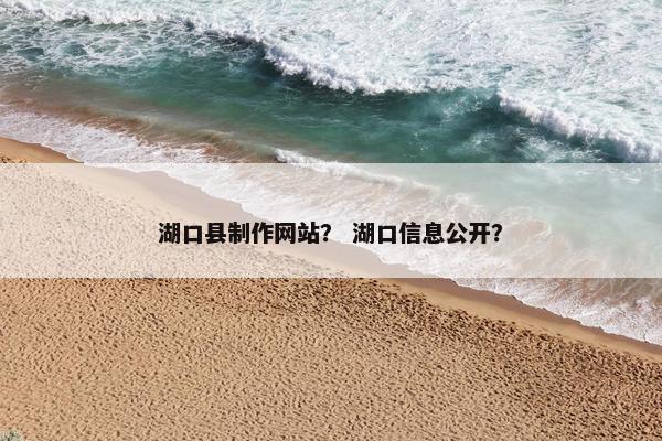 湖口县制作网站？ 湖口信息公开？