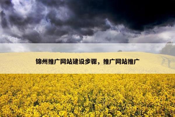 锦州推广网站建设步骤，推广网站推广