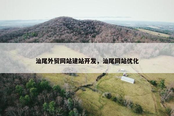 汕尾外贸网站建站开发，汕尾网站优化