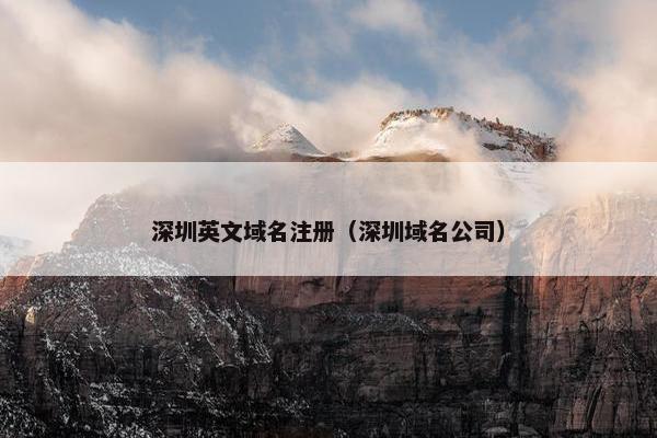 深圳英文域名注册（深圳域名公司）