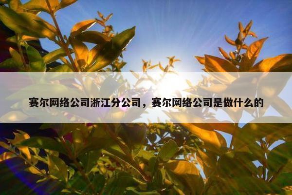 赛尔网络公司浙江分公司，赛尔网络公司是做什么的