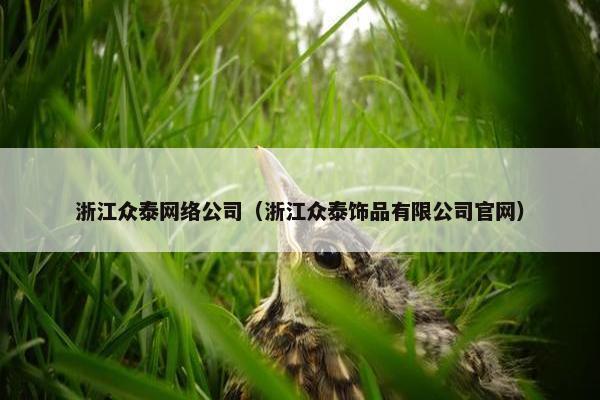 浙江众泰网络公司（浙江众泰饰品有限公司官网）