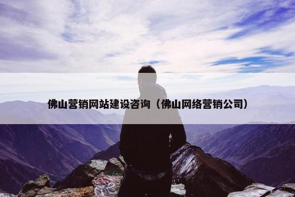 佛山营销网站建设咨询（佛山网络营销公司）