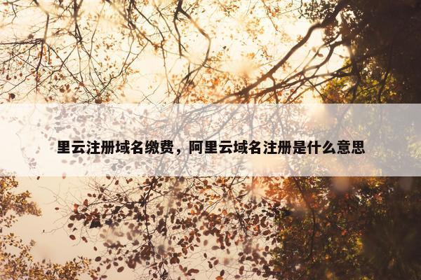 里云注册域名缴费，阿里云域名注册是什么意思
