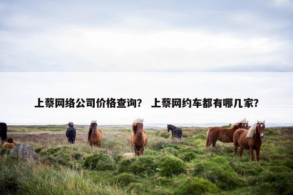 上蔡网络公司价格查询？ 上蔡网约车都有哪几家？