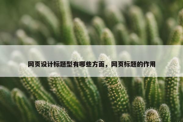 网页设计标题型有哪些方面，网页标题的作用