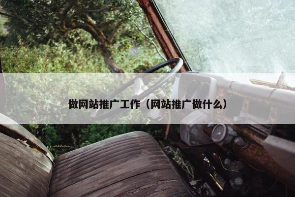 做网站推广工作（网站推广做什么）
