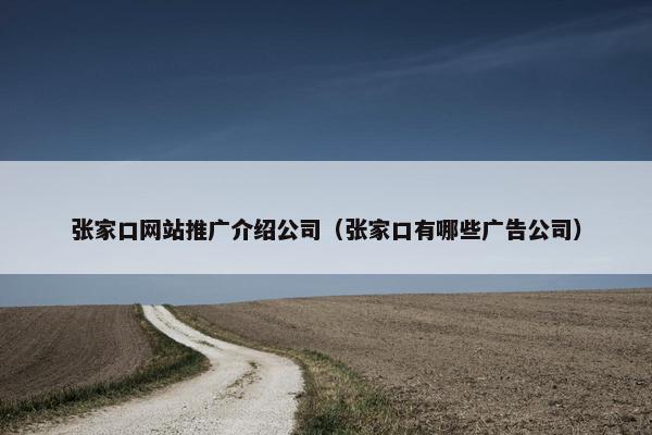 张家口网站推广介绍公司（张家口有哪些广告公司）