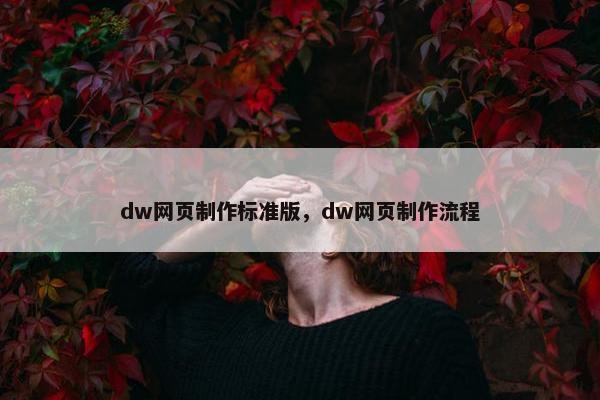 dw网页制作标准版，dw网页制作流程