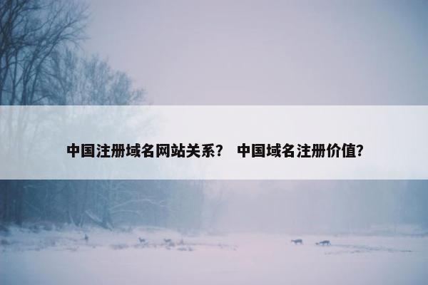 中国注册域名网站关系？ 中国域名注册价值？