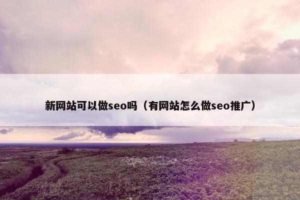 新网站可以做seo吗（有网站怎么做seo推广）