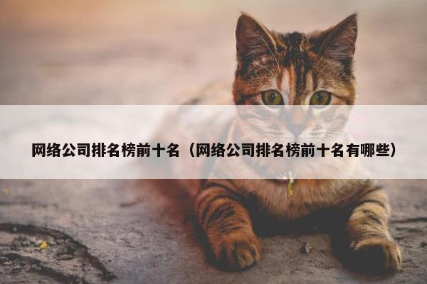 网络公司排名榜前十名（网络公司排名榜前十名有哪些）