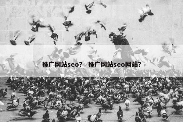 推广网站seo？ 推广网站seo网站？