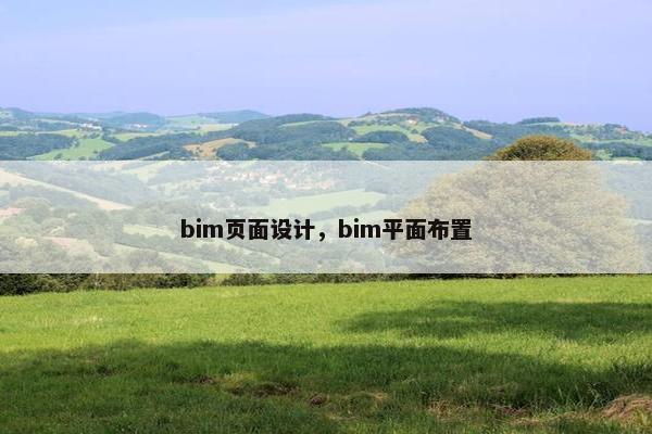 bim页面设计，bim平面布置