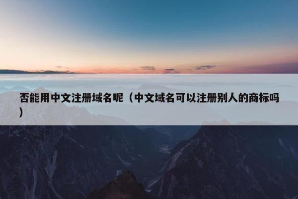 否能用中文注册域名呢（中文域名可以注册别人的商标吗）