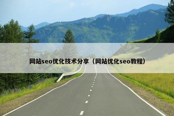 网站seo优化技术分享（网站优化seo教程）