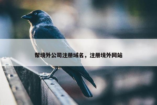 帮境外公司注册域名，注册境外网站