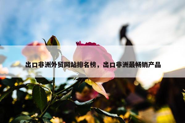 出口非洲外贸网站排名榜，出口非洲最畅销产品