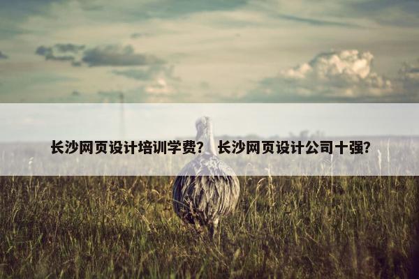 长沙网页设计培训学费？ 长沙网页设计公司十强？