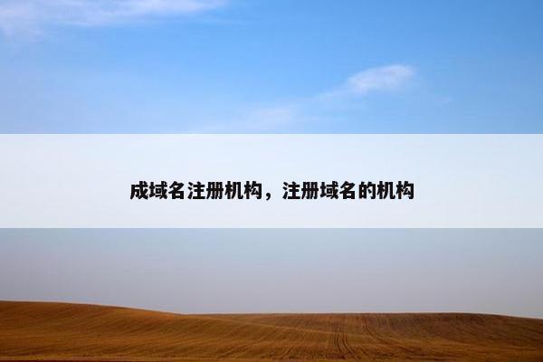 成域名注册机构，注册域名的机构