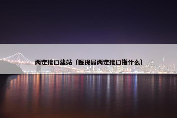两定接口建站（医保局两定接口指什么）