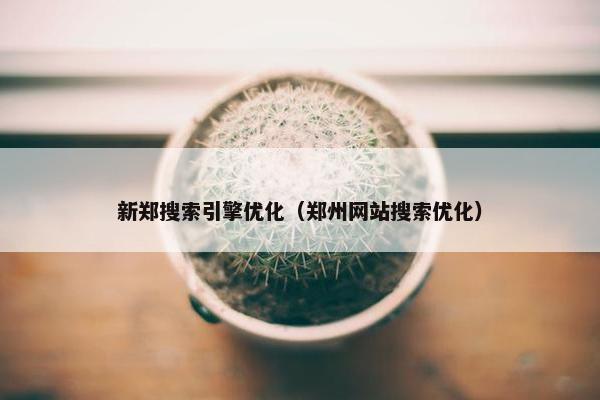 新郑搜索引擎优化（郑州网站搜索优化）