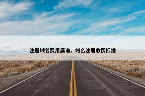 注册域名费用属谁，域名注册收费标准