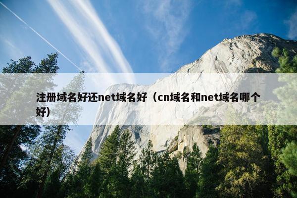 注册域名好还net域名好（cn域名和net域名哪个好）
