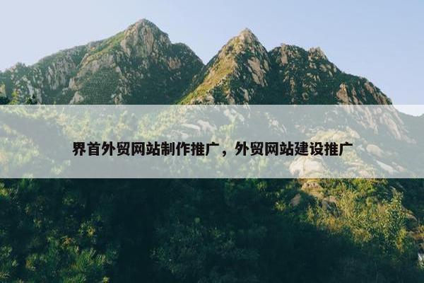 界首外贸网站制作推广，外贸网站建设推广